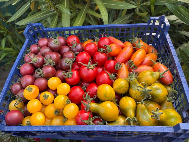 Le Seize IMG_2949.jpeg