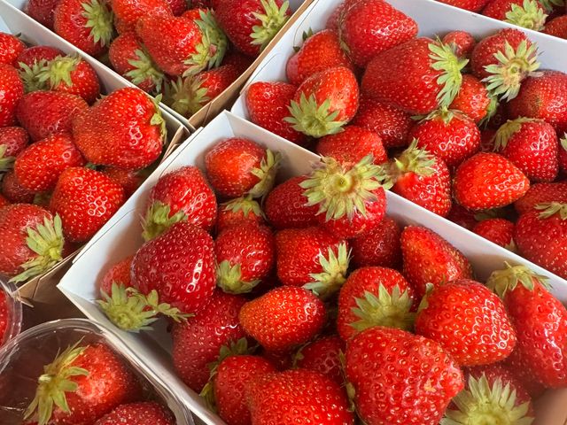 Le Seize IMG_3143.jpeg